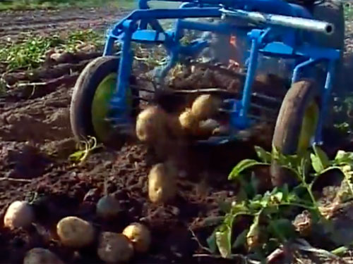 anbaugeraete-einachser-kartoffelroder-schwingsiebroder-fuer-kokotech-_2