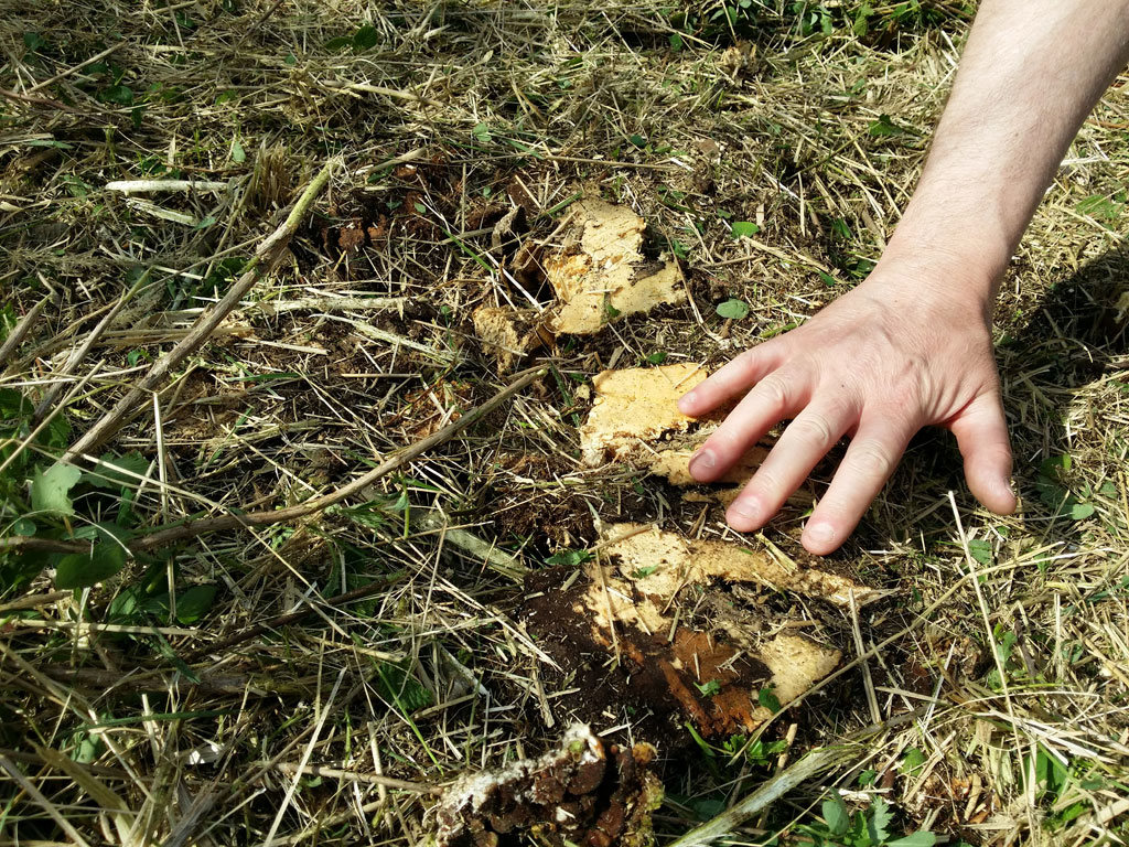 mulcher-azm-stiga-05