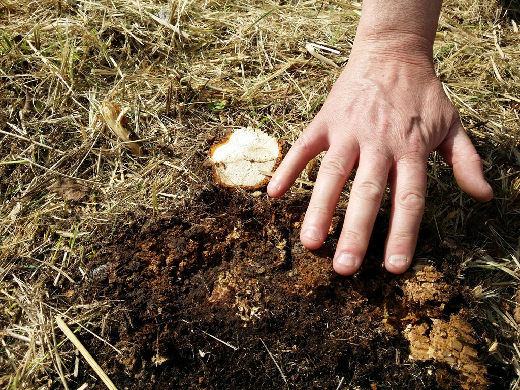 mulcher-azm-stiga-04